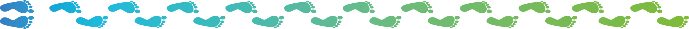 banner-footprint Carbon Footprint